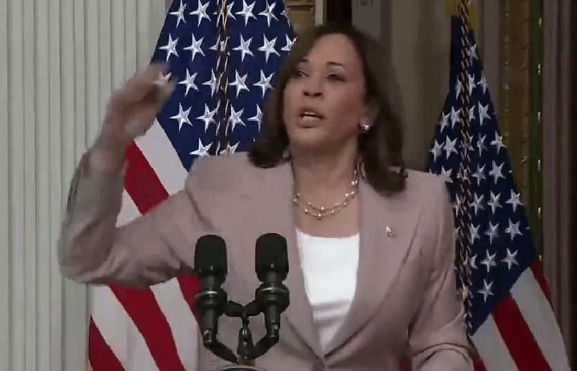 Kamala-Harris «Упала с пальмы», «колеса автобуса» и другие мемы про Камалу Харрис