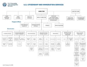 uscis-org-chart-1-pdf-300x232 USCIS-Org-Chart 1