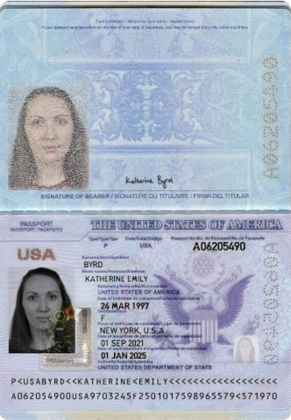 picture2 Украинца, создателя OnlyFake, депортируют из США